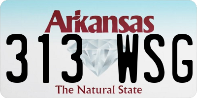 AR license plate 313WSG