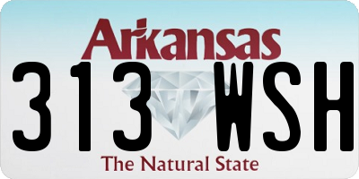 AR license plate 313WSH