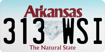 AR license plate 313WSI