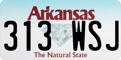 AR license plate 313WSJ