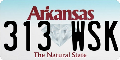 AR license plate 313WSK