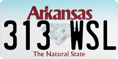 AR license plate 313WSL