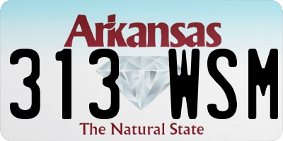 AR license plate 313WSM