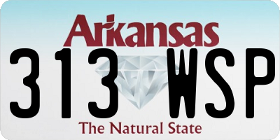 AR license plate 313WSP