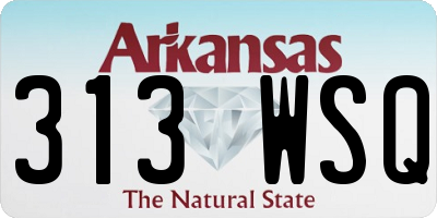 AR license plate 313WSQ