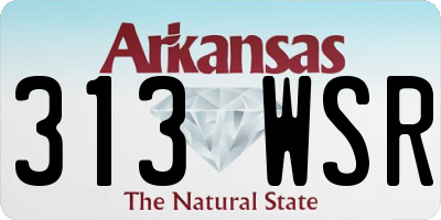 AR license plate 313WSR