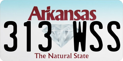 AR license plate 313WSS