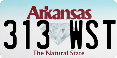 AR license plate 313WST