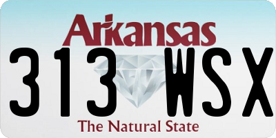 AR license plate 313WSX