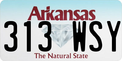 AR license plate 313WSY