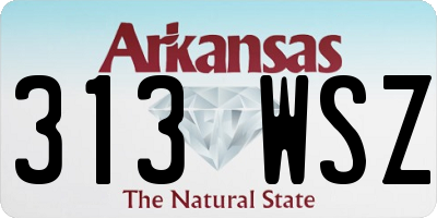 AR license plate 313WSZ