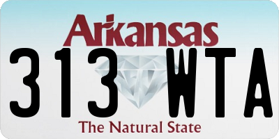 AR license plate 313WTA