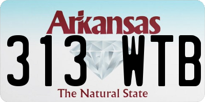 AR license plate 313WTB