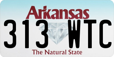 AR license plate 313WTC