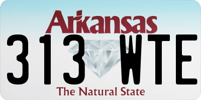 AR license plate 313WTE