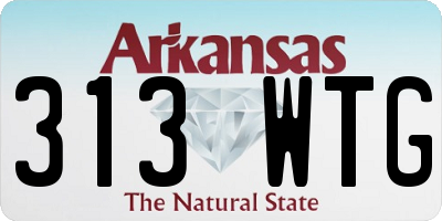 AR license plate 313WTG