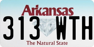 AR license plate 313WTH