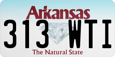AR license plate 313WTI