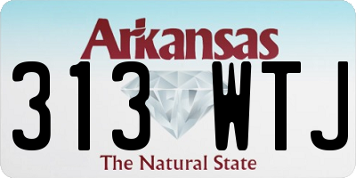 AR license plate 313WTJ