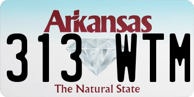 AR license plate 313WTM