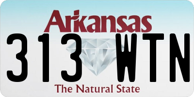 AR license plate 313WTN