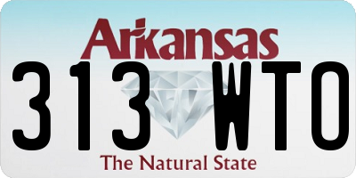 AR license plate 313WTO
