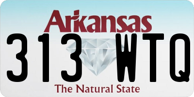 AR license plate 313WTQ