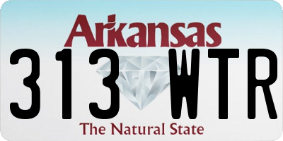AR license plate 313WTR