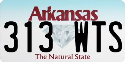 AR license plate 313WTS