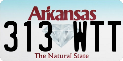 AR license plate 313WTT