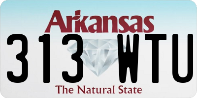 AR license plate 313WTU