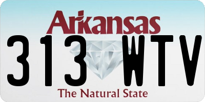 AR license plate 313WTV