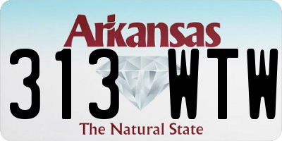 AR license plate 313WTW