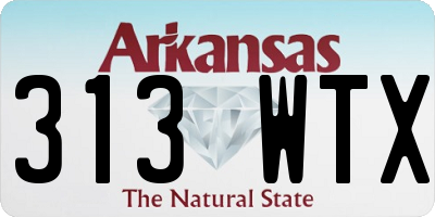 AR license plate 313WTX
