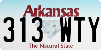 AR license plate 313WTY