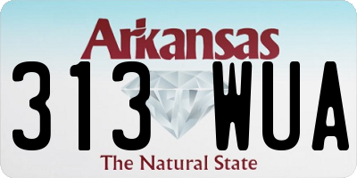 AR license plate 313WUA