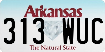 AR license plate 313WUC