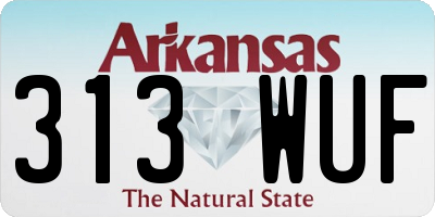 AR license plate 313WUF