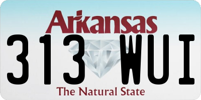 AR license plate 313WUI