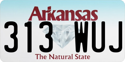 AR license plate 313WUJ