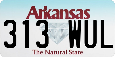 AR license plate 313WUL