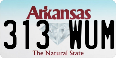 AR license plate 313WUM