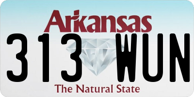 AR license plate 313WUN