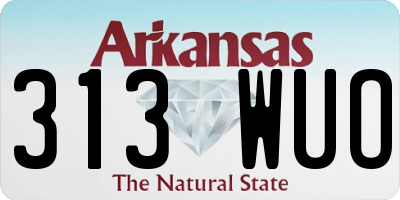 AR license plate 313WUO