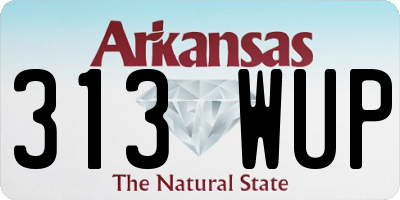 AR license plate 313WUP