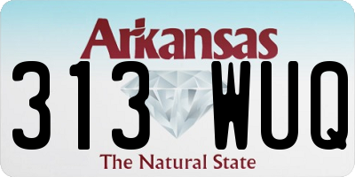 AR license plate 313WUQ