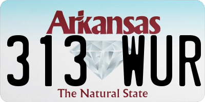 AR license plate 313WUR