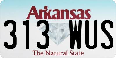 AR license plate 313WUS