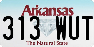 AR license plate 313WUT