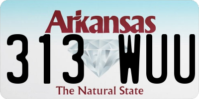 AR license plate 313WUU